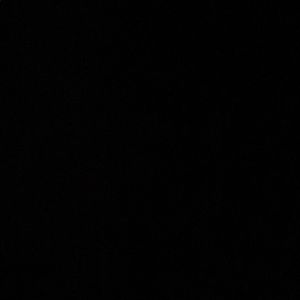 Meet your Posher, Angelina